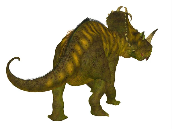 Centrosaurus 백악기 캐나다에 살았던 Ceratopsian — 스톡 사진