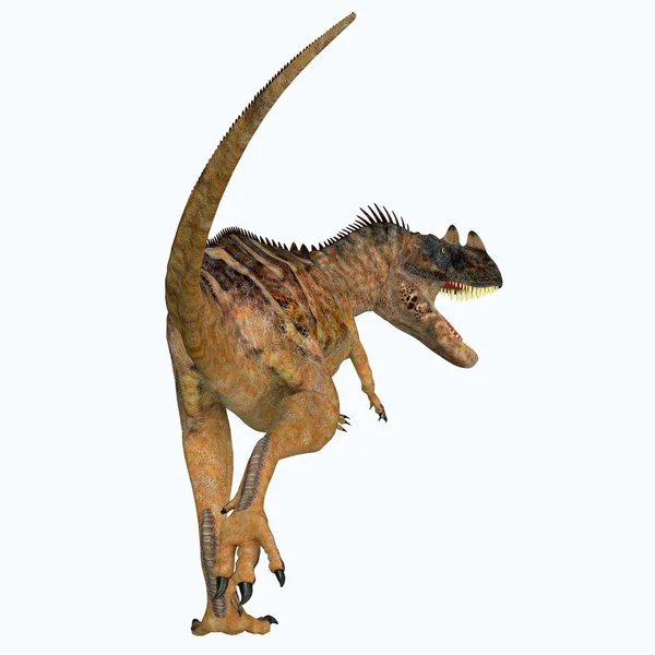 Ceratosaurus 是在侏罗纪时期居住在北美洲的食肉食肉恐龙 — 图库照片