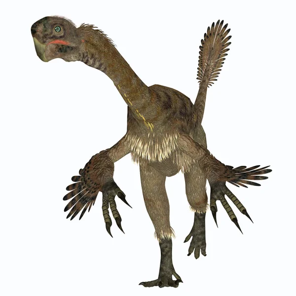 Citipati Foi Dinossauro Carnívoro Velociraptor Que Viveu Mongólia Durante Período — Fotografia de Stock