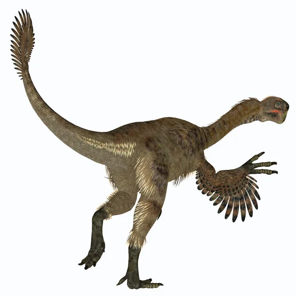 Citipati Era Dinosauro Carnivoro Velociraptor Che Visse Mongolia Durante Periodo — Foto Stock