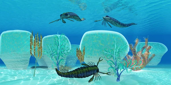 Pterygotus was a carnivorous sea scorpion that lived in the Silurian and Devonian Periods.