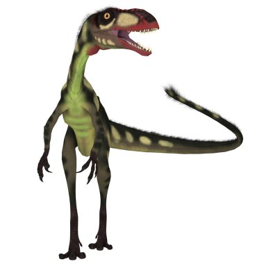 Dilong Çin'Kretase döneminde yaşamış bir etobur küçük theropod dinozordu.