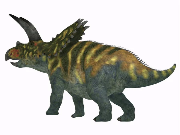 Coahuilaceratops Volt Növényevő Ceratopsia Dinoszaurusz Volt Amely Kréta Időszakban Élt — Stock Fotó