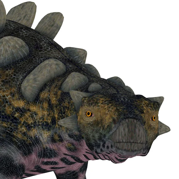 クリトンサウルスだった Ankylosaur 装甲恐竜の白亜の期間の間に中国に住んでいます — ストック写真