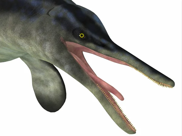 Cymbospondylus 是鱼龙的食肉动物 生活在德国的海洋和三叠纪时期的内华达州 — 图库照片