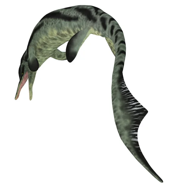 Cymbospondylus 是鱼龙的食肉动物 生活在德国的海洋和三叠纪时期的内华达州 — 图库照片