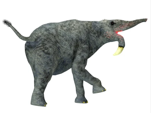 Deinotherium 是一种在中和更新世期间生活在亚洲 非洲和欧洲的大象哺乳动物 — 图库照片