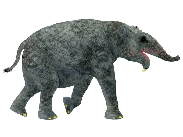 Deinotherium Era Mammifero Elefante Vissuto Asia Africa Europa Durante Miocene — Foto Stock