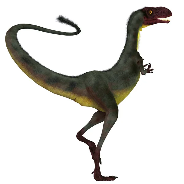 Dilong Var Liten Theropoden Dinosaurie Som Levde Kina Perioden Krita — Stockfoto