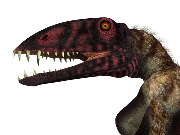 Dimorphodon 是在侏罗纪时期生活在英国的食肉翼龙爬行动物 — 图库照片