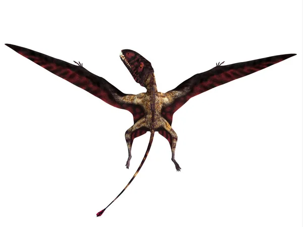 Dimorphodon Var Köttätande Pterosaurie Reptil Som Levde England Perioden Jura — Stockfoto