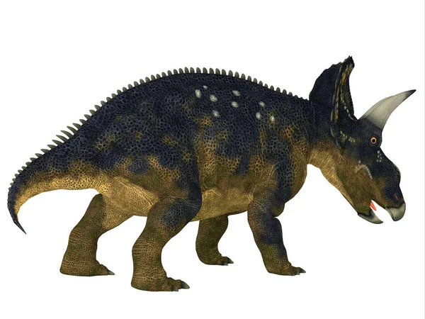 Nedoceratops Ceratopsia Növényevő Ceratopsia Dinoszaurusz Volt Kréta Időszakban Élt Észak — Stock Fotó