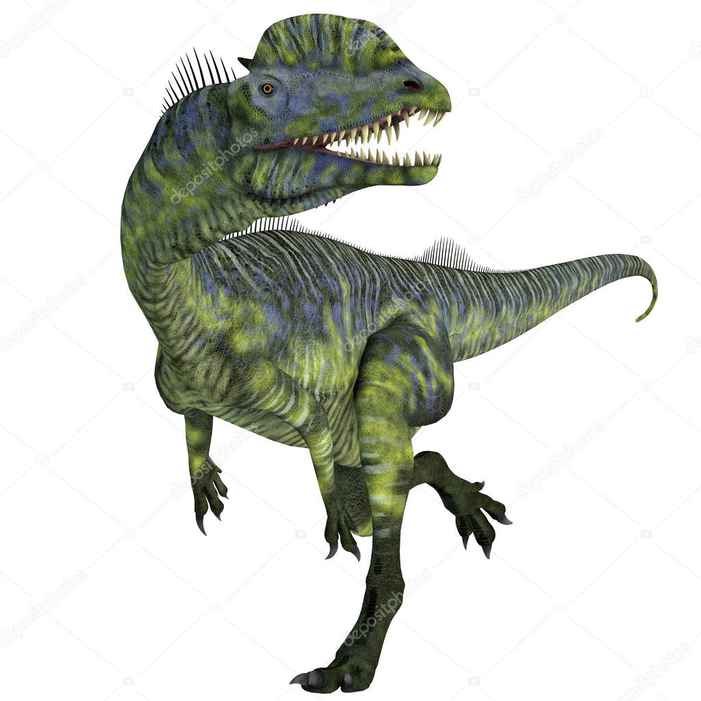 Dilophosaurus was a large carnivorous theropod dinosaur that lived in Arizona, USA during the Jurassic Period.