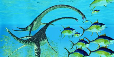 Sarı yüzgeçli orkinos Kuzey Amerika Kretase dönemi sırasında iki Elasmosaurus deniz sürüngenleri jaws kaçmaya.