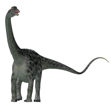 Diplodocus, Kuzey Amerika'da Jura döneminde yaşamış bir Dashanpu'daki otçul dinozordu.