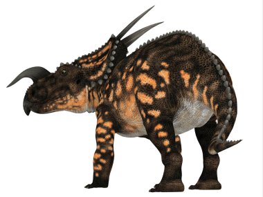 Kretase döneminde Kuzey Amerika'da yaşayan bir Ceratopsian otobur dinazor Einiosaurus yapıldı.