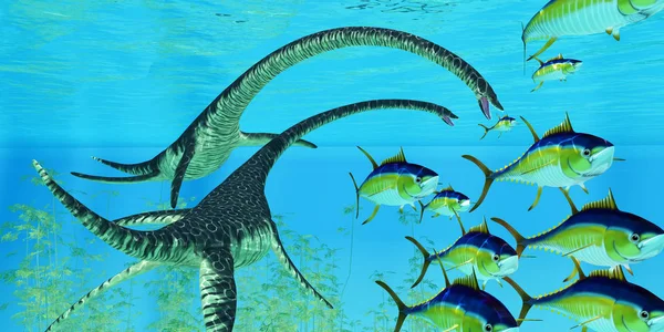 북아메리카의 백악기 Elasmosaurus 파충류의 하려고 — 스톡 사진