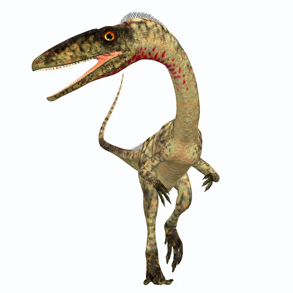Coelophyse Était Dinosaure Théropode Carnivore Qui Vivait Dans Période Triasique — Photo