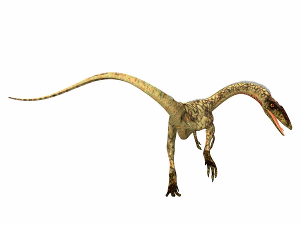 Coelophysis Era Dinossauro Terópode Carnívoro Que Viveu Período Triássico América — Fotografia de Stock