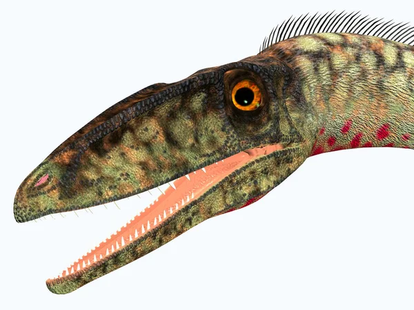 Coelophysis Era Dinossauro Terópode Carnívoro Que Viveu Período Triássico América — Fotografia de Stock