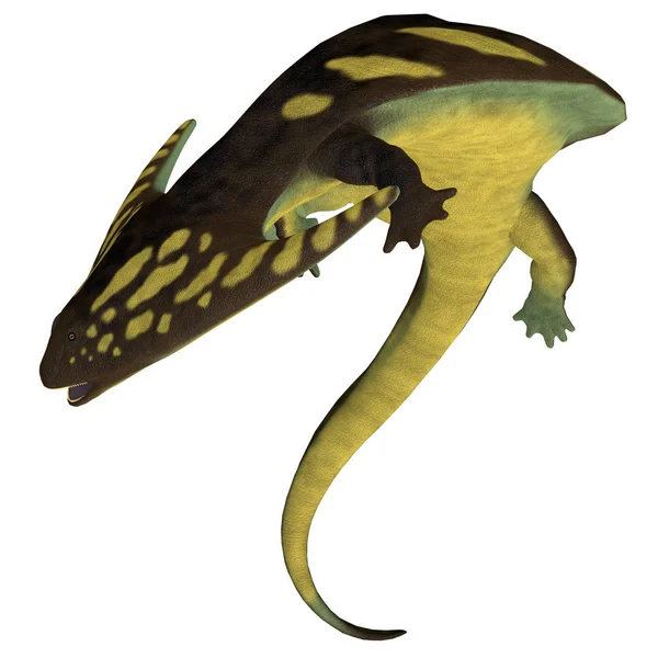 Diplocaulus War Ein Amphibien Tetrapoden Der Perm Und Karbon Nordamerikas — Stockfoto