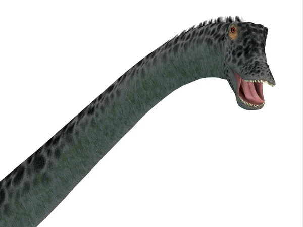 Diplodocus Var Sauropod Växtätande Dinosaurie Som Levde Nordamerika Perioden Jura — Stockfoto