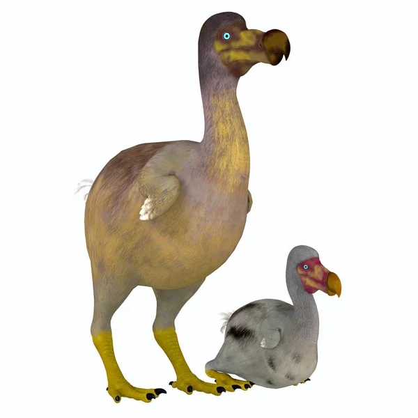 Der Dodo Ist Ein Ausgestorbener Flugunfähiger Vogel Der Auf Der — Stockfoto