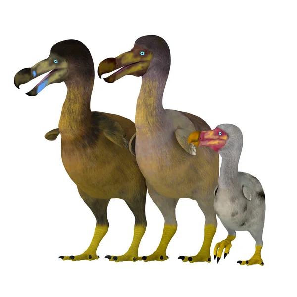 Dodo Est Oiseau Éteint Qui Vécu Sur Île Maurice Dans — Photo