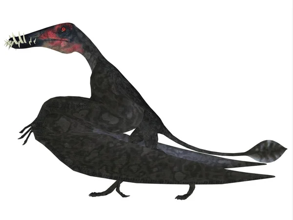 Dorygnathus Był Mięsożernych Gadów Pterozaurów Który Mieszkał Europie Podczas Okresu — Zdjęcie stockowe