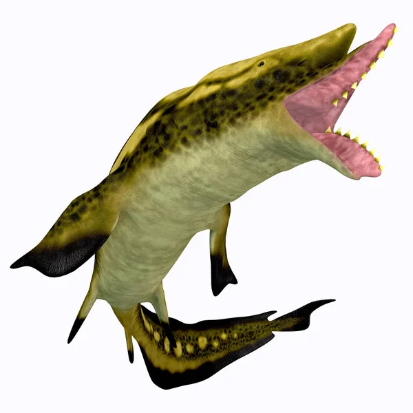 Edestus Early Shark Lived Carboniferous Period North America England Russia — Stock Photo, Image