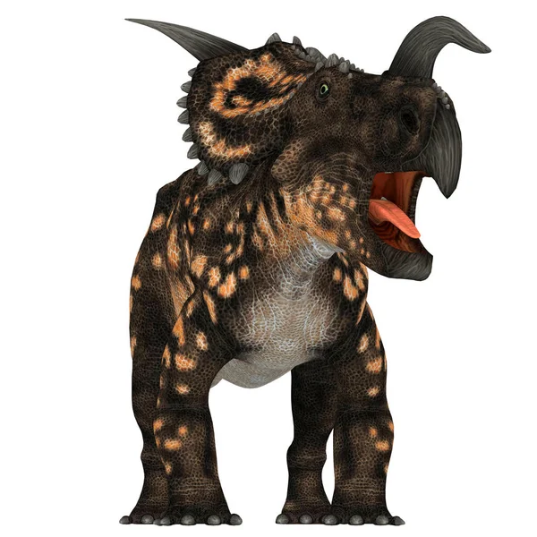 Einiosaurus Ceratopsian Herbivore Dinosaur Lived Cretaceous Period North America — Stock Photo, Image