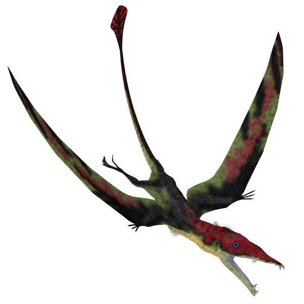 Eudimorphodon Era Uccello Carnivoro Dello Pterosauro Vissuto Italia Durante Triassico — Foto Stock