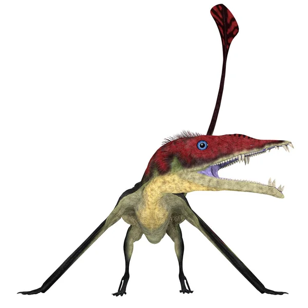 Eudimorfodon Era Pterossauro Carnívoro Que Viveu Itália Durante Período Triássico — Fotografia de Stock