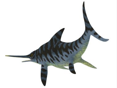 Eurhinosaurus Avrupa'da Jura döneminde yaşamış bir etobur Ichthyosaur sürüngen yapıldı..