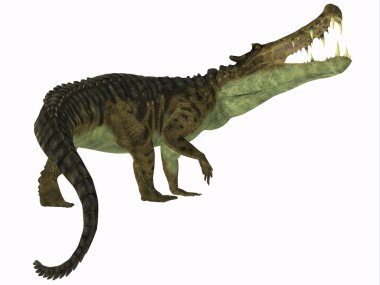 Kaprosuchus Nijer, Afrika Kretase döneminde yaşamış bir etobur timsah oldu.
