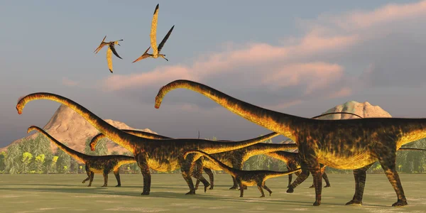 Een Barosaurus Dinosaurus Kudde Waakt Zijn Jongeren Als Twee Pteranodon — Stockfoto