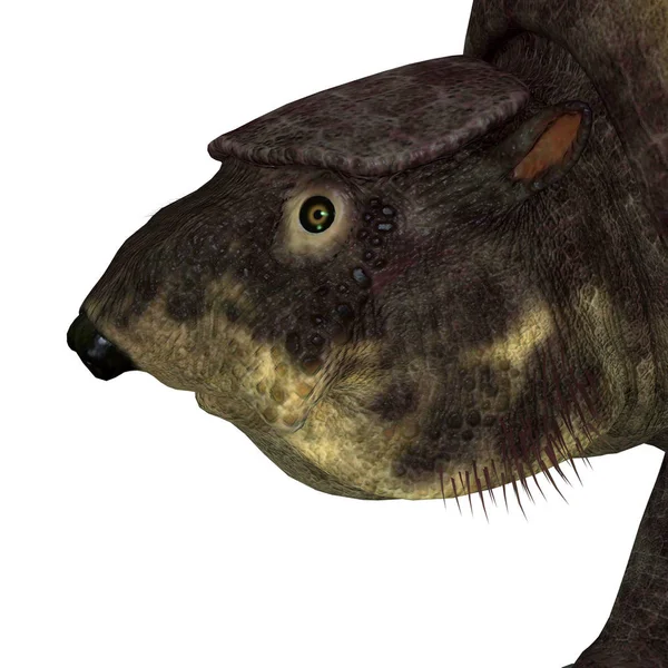 Glyptodont Era Mammifero Erbivoro Vissuto Nord America Durante Pleistocene — Foto Stock