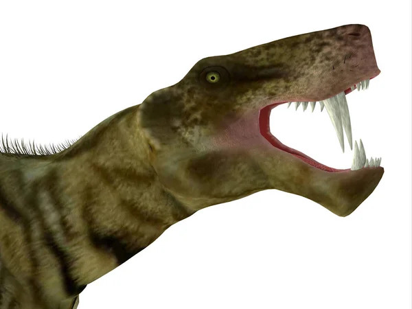 Inostrancevia Era Dinosauro Carnivoro Simile Gatto Vissuto Russia Durante Periodo — Foto Stock