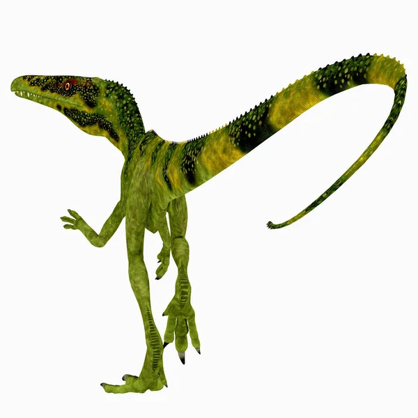 Juravenator はジュラ紀の期間の間にドイツに住んでいた肉食の獣脚類恐竜 — ストック写真