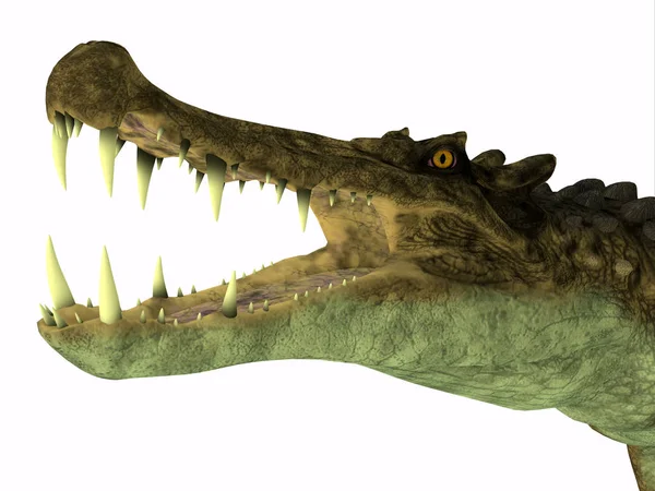 Kaprosuchus Era Coccodrillo Carnivoro Vissuto Niger Africa Durante Periodo Cretaceo — Foto Stock