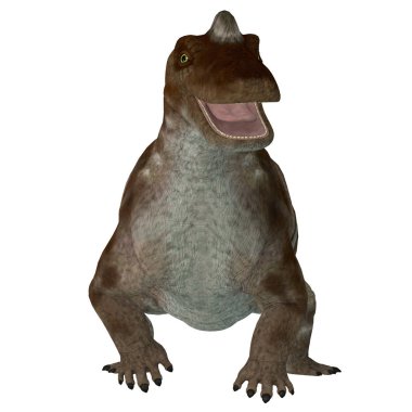 Keratocephalus, Güney Afrika'da Permiyen döneminde yaşamış bir ilkel otobur dinozordu.