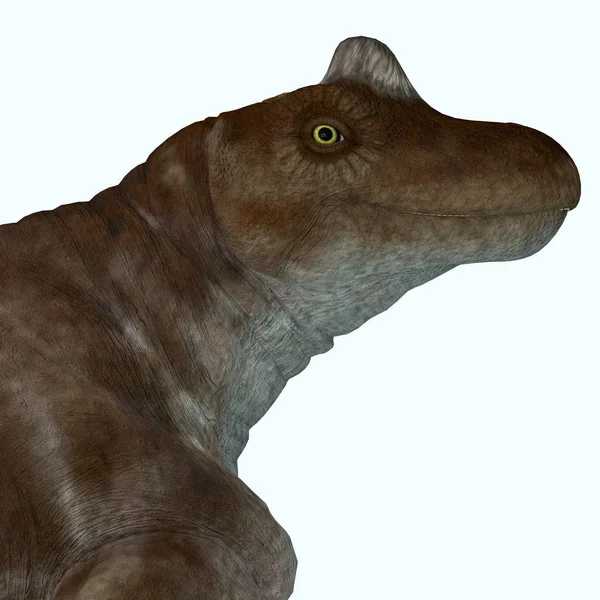 Keratocephalus Een Primitieve Herbivoor Dinosaurus Die Zuid Afrika Gedurende Het — Stockfoto