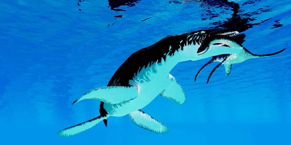 Unlucky Plesiosaurus Becomes Prey Liopleurodon Marine Reptile England Jurassic Seas — Stock Photo, Image