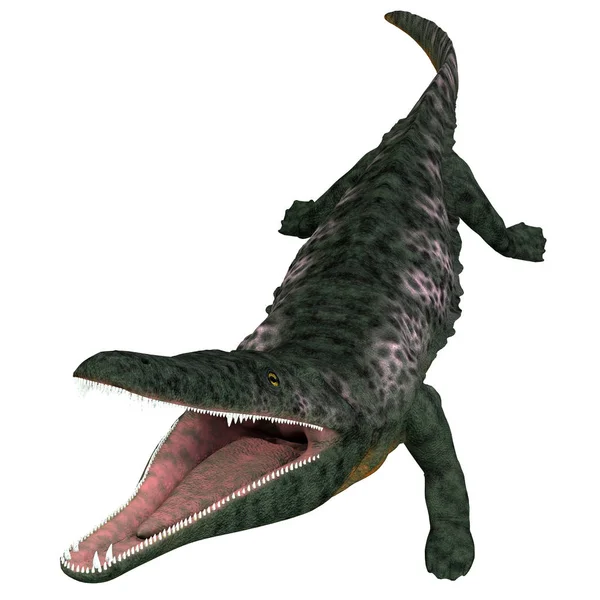 Archegosaurus Amphibian Head — Stock Photo, Image