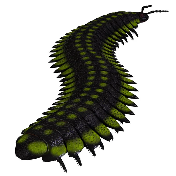 Arthropleura Invertebrate Tail — Stock Photo, Image