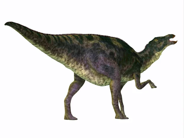 Динозавр Maiasaurus хвіст — стокове фото