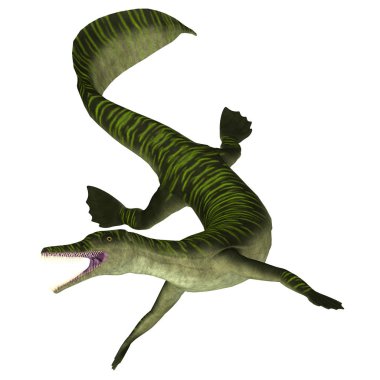 Mesosaurus deniz sürüngen beyaz