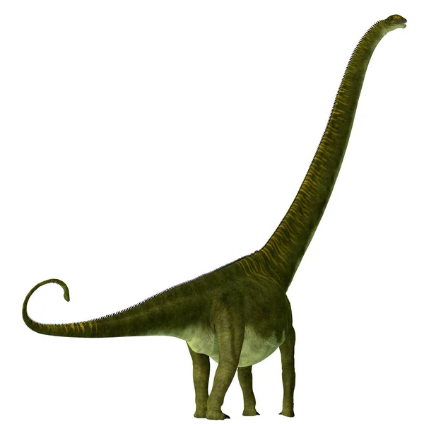 Cauda de dinossauro Mamenchisaurus hochuanensis — Fotografia de Stock