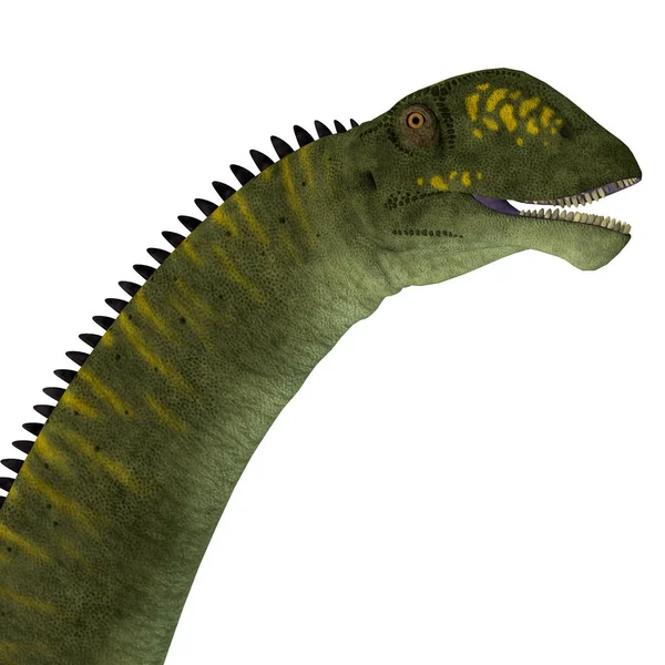 Cabeça de dinossauro Mamenchisaurus hochuanensis — Fotografia de Stock