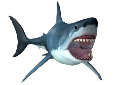 Megalodon yırtıcı köpekbalığı